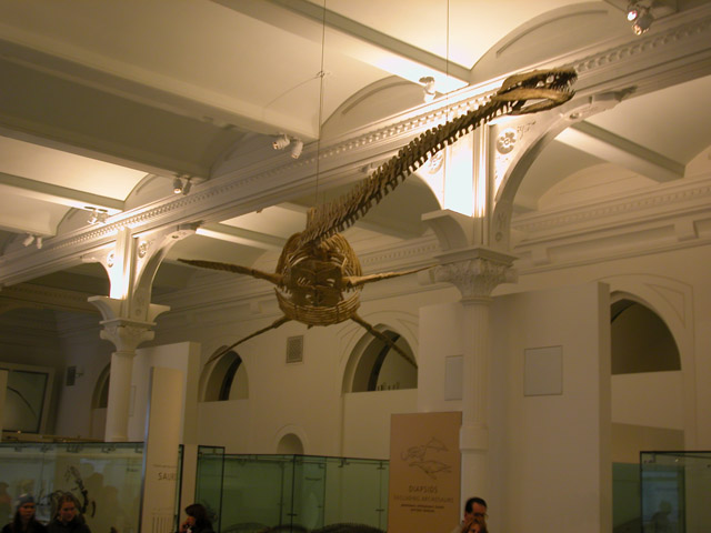 0010_Natural_History_Dinosaur